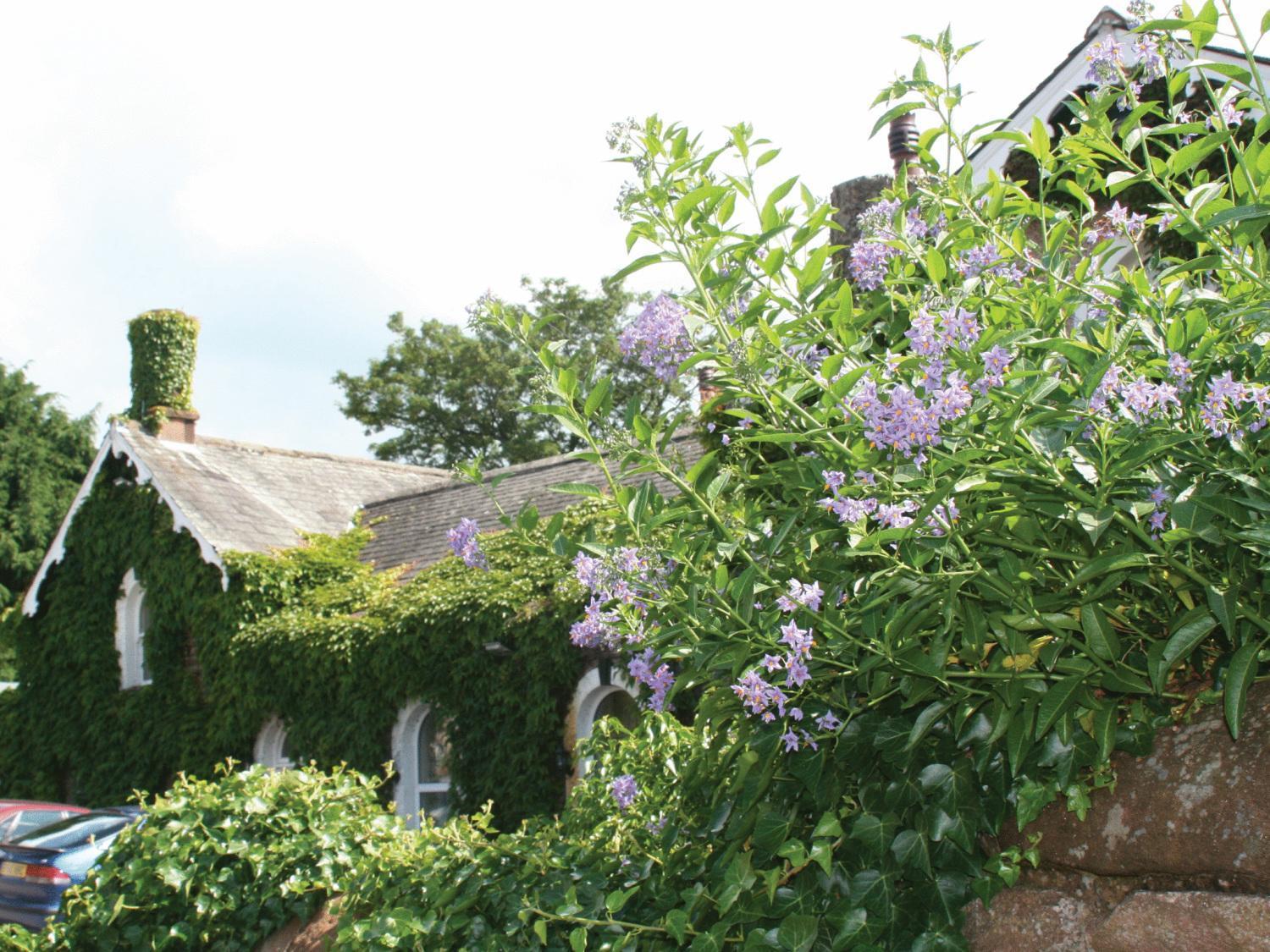 The Brantwood Hotel Penrith Exterior foto